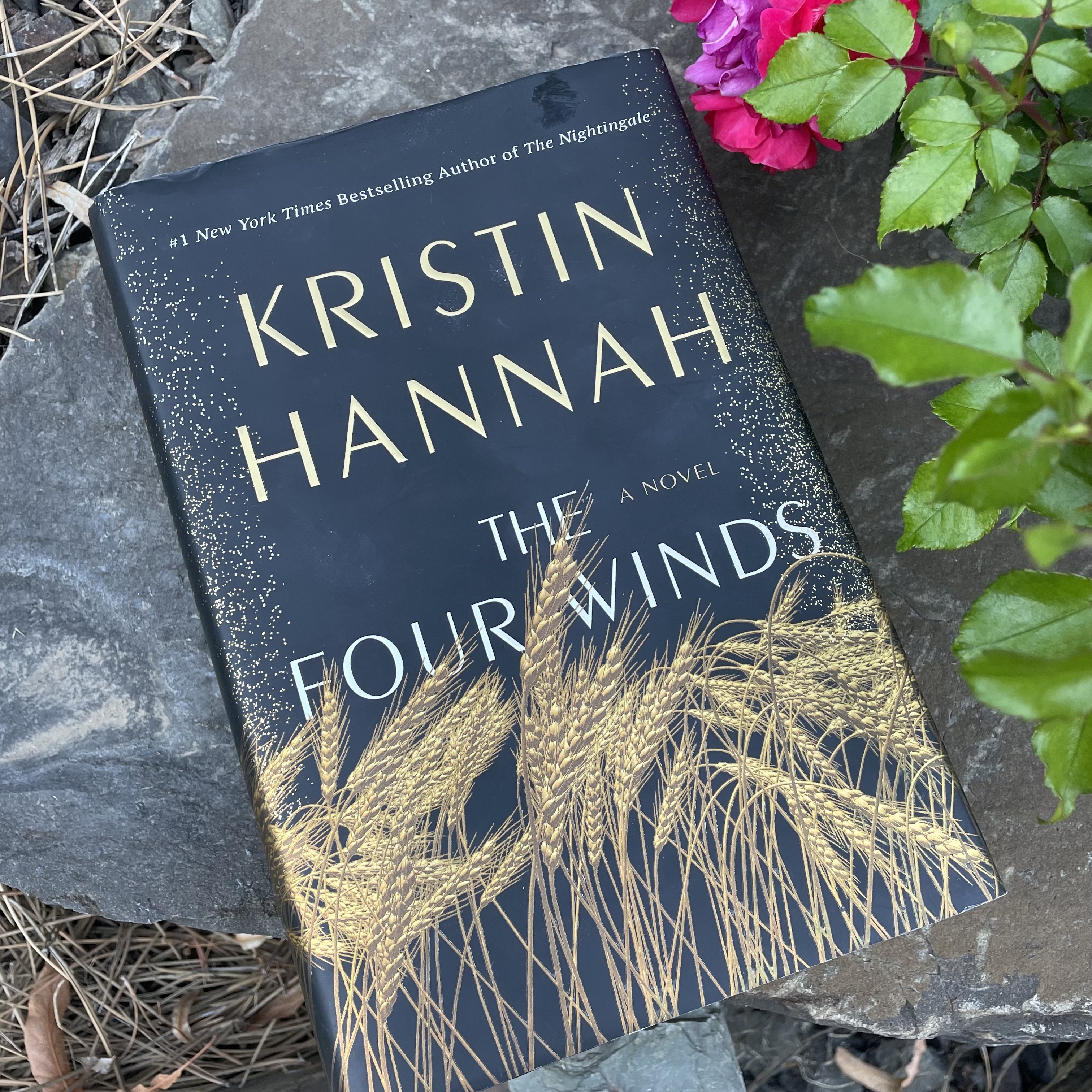 The Four Winds, Kristin Hannah